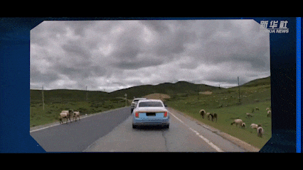 1752413925178186.gif 6405.gif